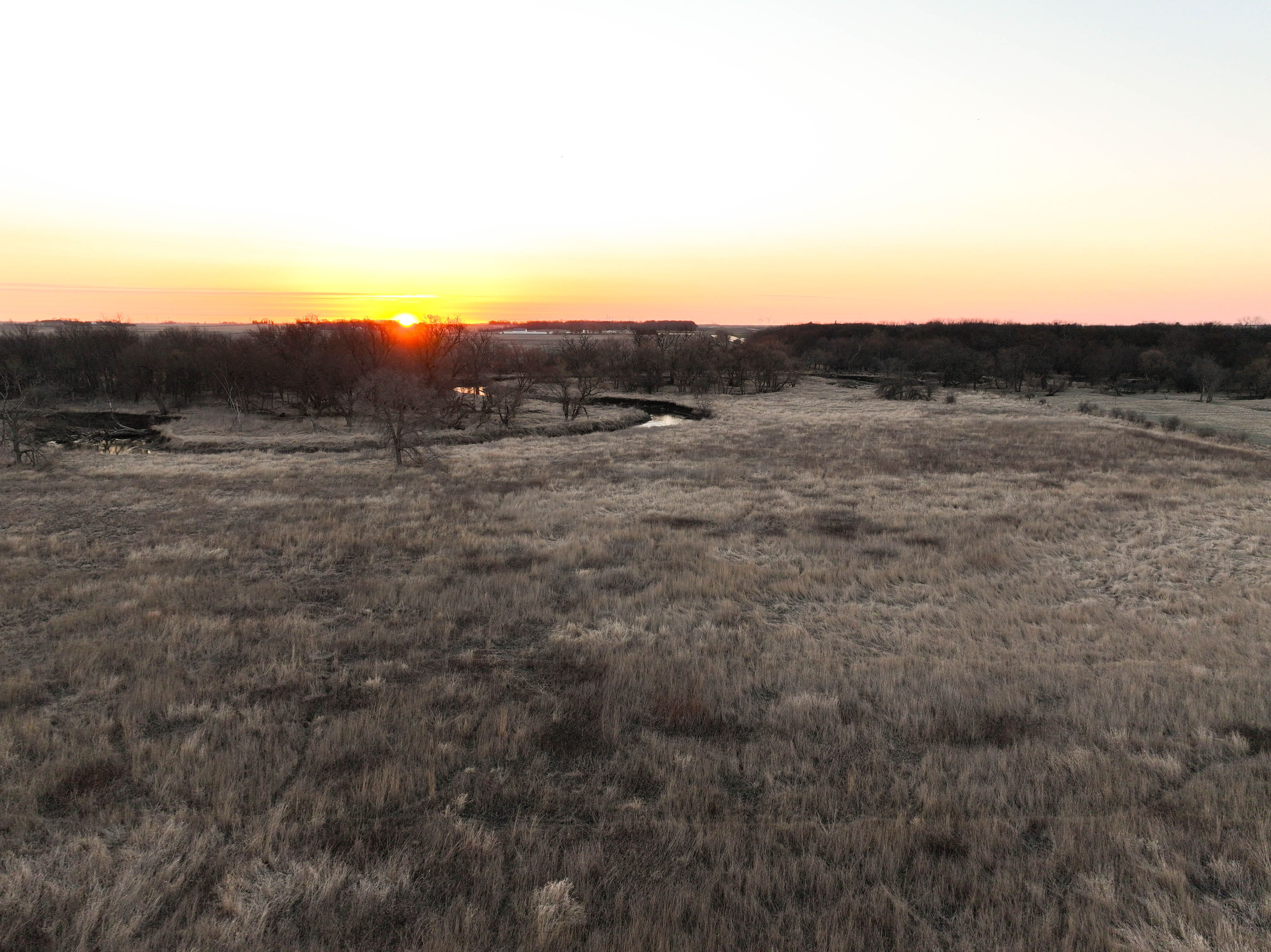 Listing Photo: 5_Chickasaw Co Rec Farm CRP